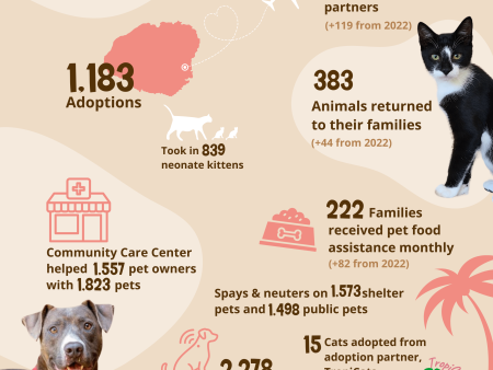  Discover Free Pet Vaccinations in El Paso 2024: Ensure Your Furry Friends Stay Healthy!