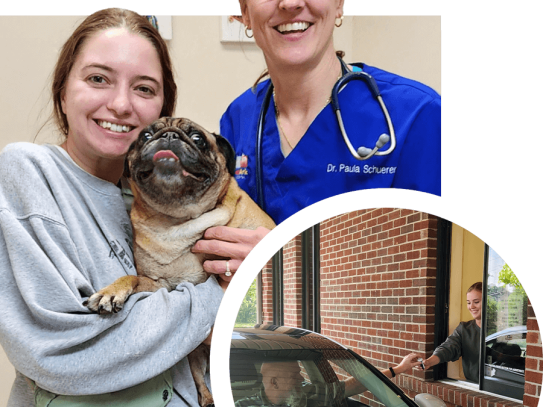 ### Discover Exceptional Care at Banfield Pet Hospital Warminster PA