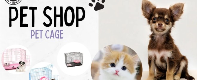  Discover the Best Pet Supplies at Pet Supplies Plus Novi MI: Your One-Stop Shop for Happy Pets