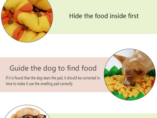  Discover the Best Pet Food Center Near Me: Your Ultimate Guide to Quality Pet Nutrition