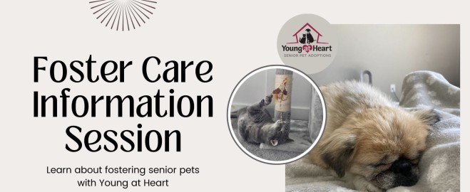  Discover the Ultimate Bend Pet Shelter: Your Guide to Finding the Perfect Pet Companion