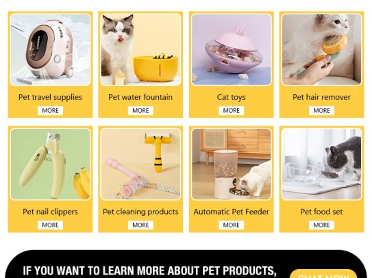  Discover the Best Pet Supplies Plus Clearwater FL for Your Furry Friends