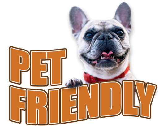  Discover Your New Best Friend: Pet Adoption in Rosenberg, TX