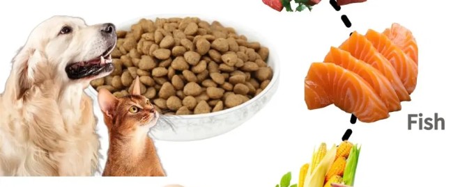  Discover the Irresistible Benefits of Costco Fresh Pet Dog Food for Your Furry Friend