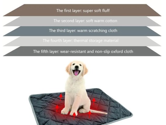  What is Pet Fiber? Understanding Its Benefits and Uses in Modern Textiles