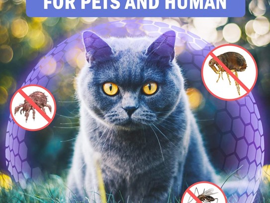 ### Is Bifen I/T Safe for Pets? Discover the Truth About This Common Insecticide